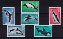 FALKLAND DOLPHINS - Dolphins