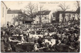 XERTIGNY : La Foire Au Bétail - Xertigny