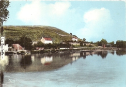 CHAMPAGNE ARDENNE - 51 - MARNE - MAREUIL SUR AY - Le Canal  - Vendanges - Mareuil-sur-Ay