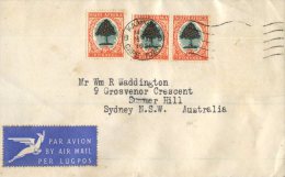 (117) South Africa Cover Posted To Australia - 1951 - Cartas & Documentos