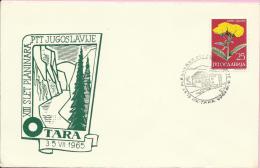 12th Mountaineers Meetings (of Post Workers PTT) On Tara, Tara, 4.7.1965., Yugoslavia, Cover - Climbing