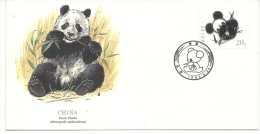 CHINA GIANT PANDA .ENVELOPPE TIMBRE 20 - Cartas & Documentos