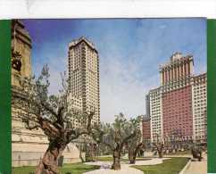 ARBRES   - Oliviers, Publicite Huile D'olive  Cpm Année  1960   Espagne   Valencia - Arbres