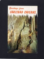 44931    Stati  Uniti,  The Lion"s  Tail - Carlsbad  Caverns National  Park -  New  Mexico,  VG  1963 - Sonstige & Ohne Zuordnung