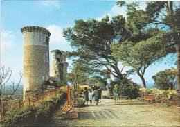 CPM 13 - Chateaurenard - Les Tours Du Vieux Château - Chateaurenard