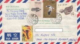 BUDDHA STATUE, STORK, MAN, WORLD, STAMPS ON COVER, 1990, CHINA - Covers & Documents