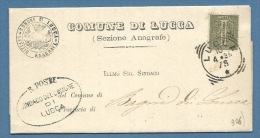 1895 - TOSCANA  COMUNE DI LUCCA 1c. ISOLATO SU PIEGO PER BAGNI DI LUCCA - Otros & Sin Clasificación