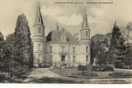 CPA (49)   CHEMILLE Chateau De Salboeuf - Chemille