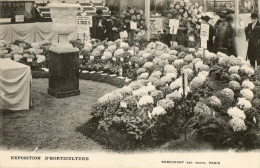 Exposition Horticole De Paris Stand Des établissement Foucard Fils CHATOU - Chatou