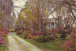 A Beautiful Florence Home Florence South Carolina - Florence