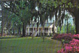 Carolina Low Country Plantation Florence South Carolina - Florence