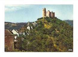 Cp, 12, Najac, Le CHâteau Et La Maison Du Sénéchal - Najac