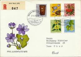 Flowers - Pro Juventute, 27.11.1975., Switzerland, Letter - Covers & Documents