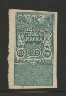 RUSSIA SOUTH RUSSIA CIVIL WAR REVENUE 2R GREEN NHM BAREFOOT #55 - Revenue Stamps