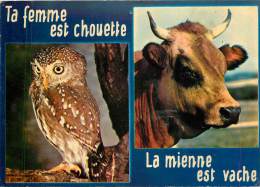 CPSM Humour-Ta Femme Est Chouette-La Mienne Est Vache    L1515 - Villars-les-Dombes