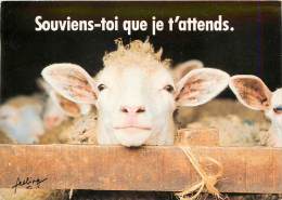 CPSM Humour-Animaux Humoristique    L1515 - Villars-les-Dombes