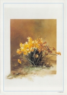 PGR-65-G : J. DONNAY : ## Herfsttijloos ## : FLORA,BLOEMEN,FLEURS,FLOW ERS, - Postogram