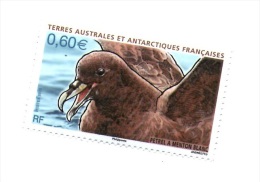 TAAF 2012 -  1 Stamp, MNH - Seagulls