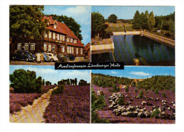 Allemagne: Amelinghausen, Luneburger Heide (14-255) - Lüneburg