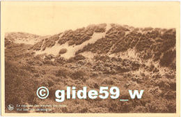 OOSTDUINKERKE - Le Royaume Des Bruyères Des Dunes - N° 23 - Oostduinkerke