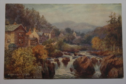 CPA Bettws Y Coed From Pont Y Pair - TO04 - Caernarvonshire