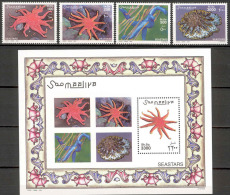 Somalia 2001 Sea Stars Set And Souvenir Sheet MNH; Michel # 896-99 + Block 80 - Somalia (1960-...)