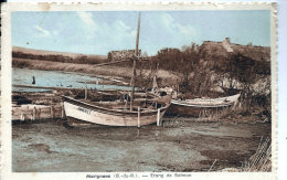 D13 - MARIGNANE  - Etang De BOLMON   - (BARQUES) - Marignane