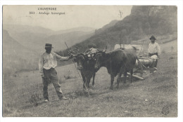 (63) L´AUVERGNE ATTELAGE AUVERGNAT 1914. Bœufs, Vaches, Charrue, Paysan. Référence 3051. Petite Animation. - Maringues