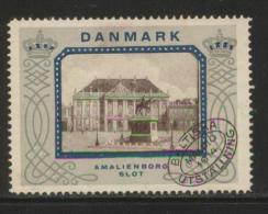 SWEDEN 1914 MALMO BALTIC EXPO DANISH PALACES DENMARK AMALIENBORG NO GUM POSTER STAMP CINDERELLA REKLAMENMARKEN - Neufs