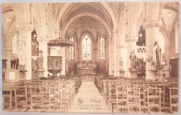 Dilbeek. L'Intérieur De L'église. Binnenste Van De Kerk. - Dilbeek