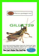 INSECTE, SAUTERELLE -PUBLICITÉ - ADVERTISING - TRIVIAL PURSUIT - SN WHERE ARE A GRASSHOPPER'S EARS ? - MAX RACKS, 2000 - - Insectes