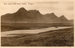 2 Cartes ; Loch Hakel , Ribigill Farm - Sutherland