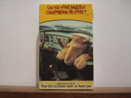 PAQUET VIDE  QUI EST VOTRE MEILLEUR COMPAGNON DE ROUTE ? CAMEL - Empty Cigarettes Boxes