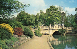 The Bridge - Gloucester