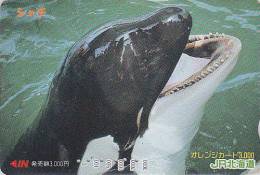 Carte Orange Japon - ANIMAL - BALEINE ORQUE - ORCA WHALE Japan JR Card - WAL Karte - 259 - Dauphins