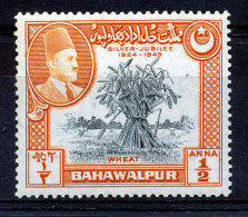 Bahawalpur N°19** - Bahawalpur