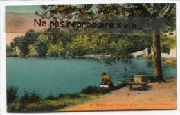 - 12 - BESSE-sur-ISSOLE - ( Var ), Un Coin Du Lac, Edit, Vibourel Tabacs, Besse, Non écrite, TBE, Scans. - Besse-sur-Issole