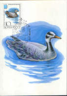 Russia-Maximum Postcard,maxicard 1982-  Bar-headed Goose (eulabeia Indica) - Oche