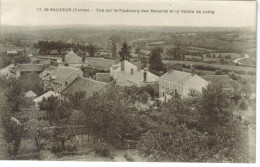 CPA SAINT SAUVEUR EN PUISAYE (Yonne) - Vue Sur Le Faubourg Des Renards Et La Vallée Du Loing - Saint Sauveur En Puisaye