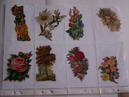 ""   LOT  DE  8  DECOUPIS GAUFRES  //   TAILLE  MOYENNE  --     FLEURS  //  PAGE  21 X 30  "" - Blumen