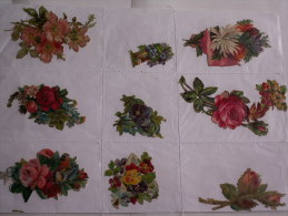 ""   LOT  DE  9  DECOUPIS GAUFRES   //  TAILLE  MOYENNE  --     FLEURS  //  PAGE  21 X 30  "" - Flowers