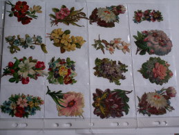 ""   LOT  DE  16  DECOUPIS  GAUFRES  //  TAILLE  MOYENNE  --   FLEURS  //  PAGE  21 X 30  "" - Flowers