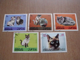 Oman: 5 Werte Katzen-Cats - Oman