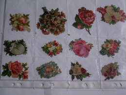 ""   LOT  DE  12  DECOUPIS  GAUFRES  //  TAILLE  MOYENNE  --   FLEURS  //  PAGE  21 X 30  "" - Flowers