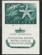 TRIESTE B 1952 MOSTRA FILATELICA STAMP EXHIBITION BLOCCO FOGLIETTO BLOCK SHEET USED USATO OBLITERE' - Usati