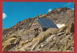 BVS-61 Cabane Du Trient Avec La Pointe D'Orny Sur Champex. Non Circulé, Mais Mention Ferret, Août 1975 - Trient