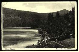 Bayr. Wald  -  Arber-See Mit Spitze  -  Ansichtskarte Ca.1912    (2697) - Bodenmais