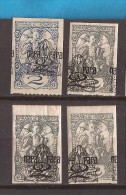 1920  SHS SLOVENIJA VERIGARI JUGOSLAVIJA   DIFFERENT COLOR - PAPER - PERFORATION   INTERESTING COLOR NEVER   HINGED - Unused Stamps