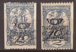 1920  SHS SLOVENIJA VERIGARI JUGOSLAVIJA   DIFFERENT COLOR - PAPER - PERFORATION   INTERESTING COLOR NEVER   HINGED - Unused Stamps