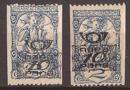 1920  SHS SLOVENIJA VERIGARI JUGOSLAVIJA   DIFFERENT COLOR - PAPER - PERFORATION   INTERESTING COLOR NEVER   HINGED - Ungebraucht